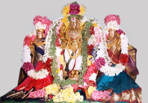 Thennampakkam Sri Kalyana Venkatesh Perumal Temple