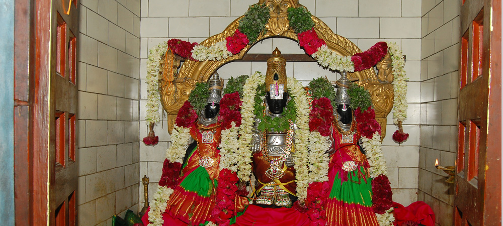 Thennampakkam Sri Kalyana Venkatesh Perumal Temple2